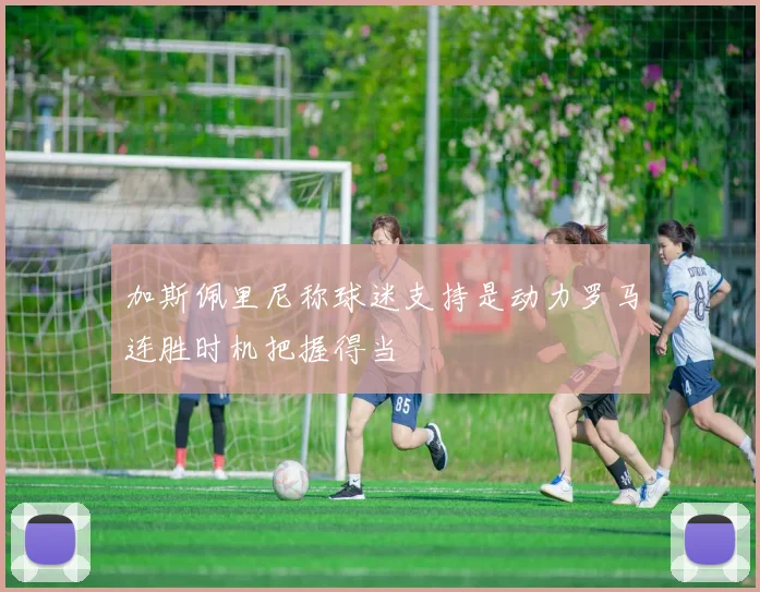 加斯佩里尼称球迷支持是动力罗马连胜时机把握得当
