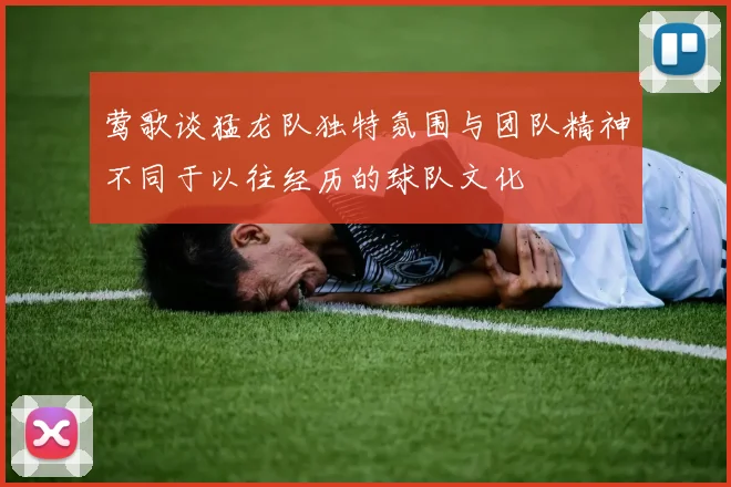 莺歌谈猛龙队独特氛围与团队精神不同于以往经历的球队文化